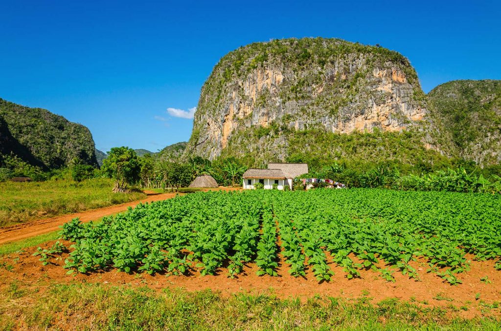 Valle de Viñales Cuba